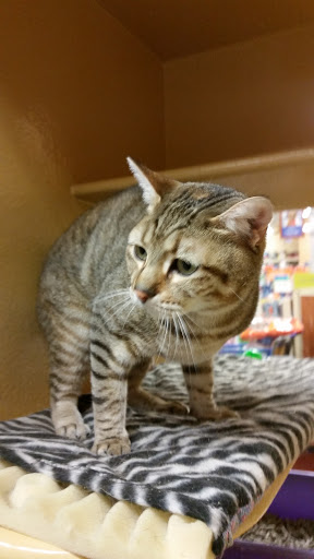 Pet Supply Store «PetSmart», reviews and photos, 132 NJ-31, Flemington, NJ 08822, USA