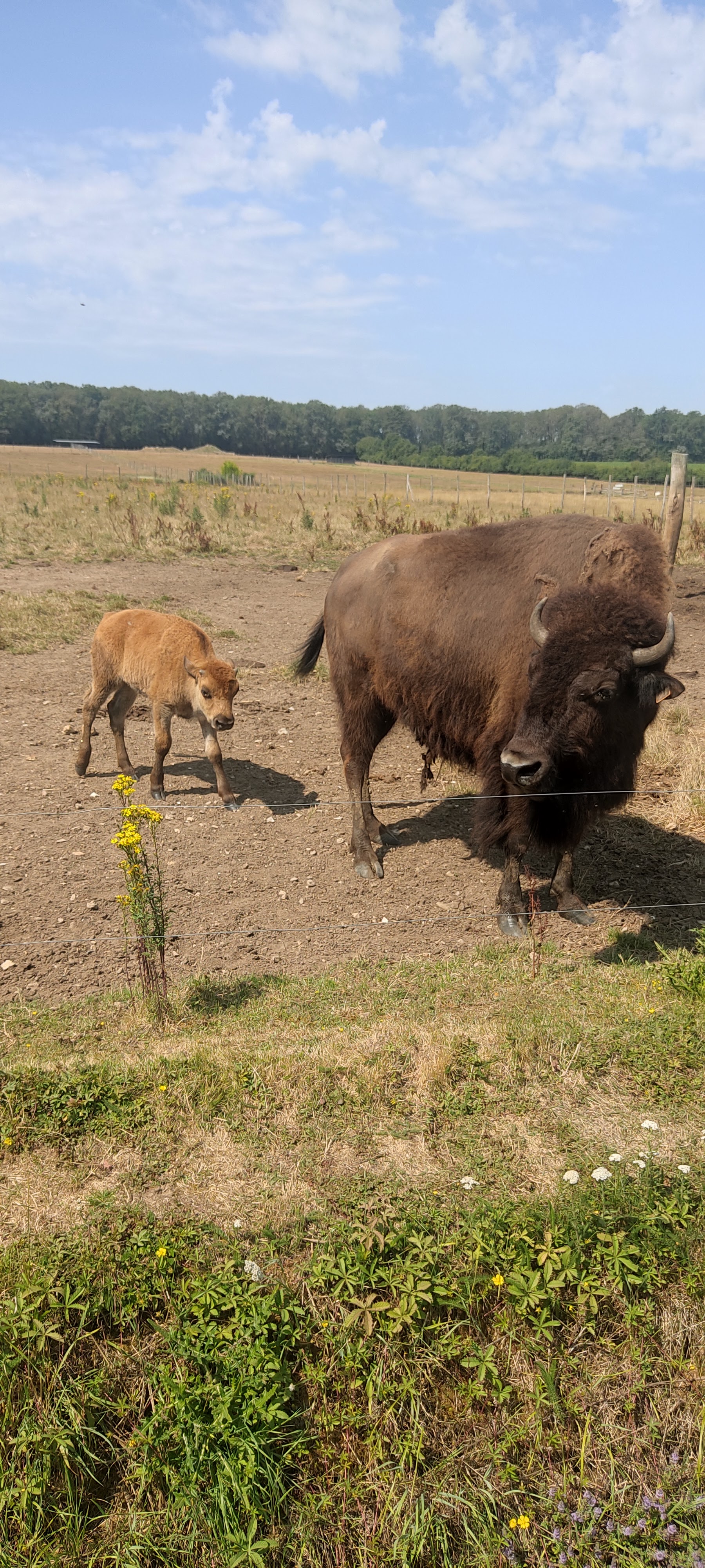 Photo n° 1 de l'avis de Sandra.� fait le 11/07/2023 à 10:52