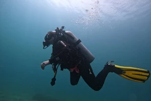 Coral Fire - Diving School image