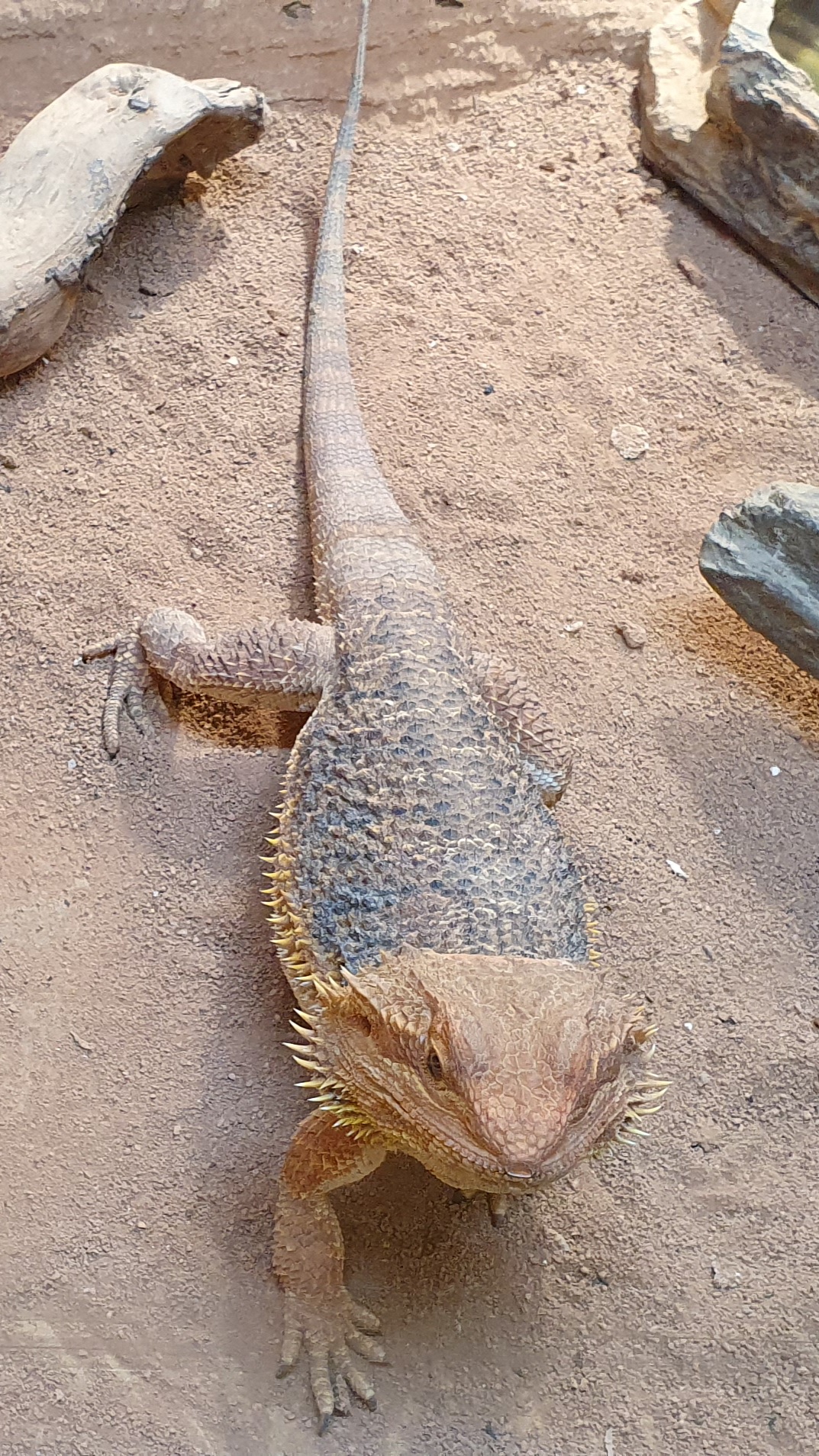 Photo n° 8 de l'avis de Laëtitia.E fait le 25/07/2020 à 00:11