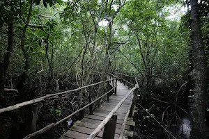 Jozani Forest image