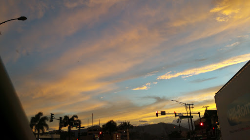 Explore charlotte's web tattoo ideas, creative tattoo ideas in Wahiawa, available at Empire Art Studio