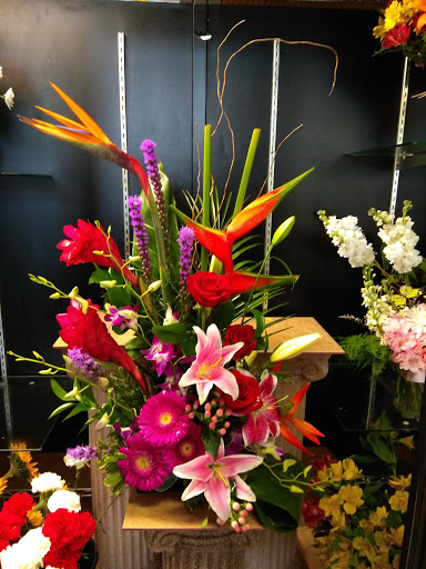 Florist «Enchanted Florist», reviews and photos, 1956 US-1, St Augustine, FL 32084, USA