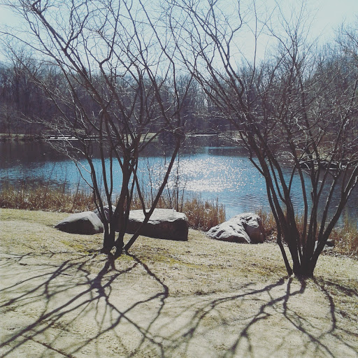 Nature Preserve «Captain Daniel Wright Woods Forest Preserve», reviews and photos, 24830 N St Marys Rd, Mettawa, IL 60045, USA