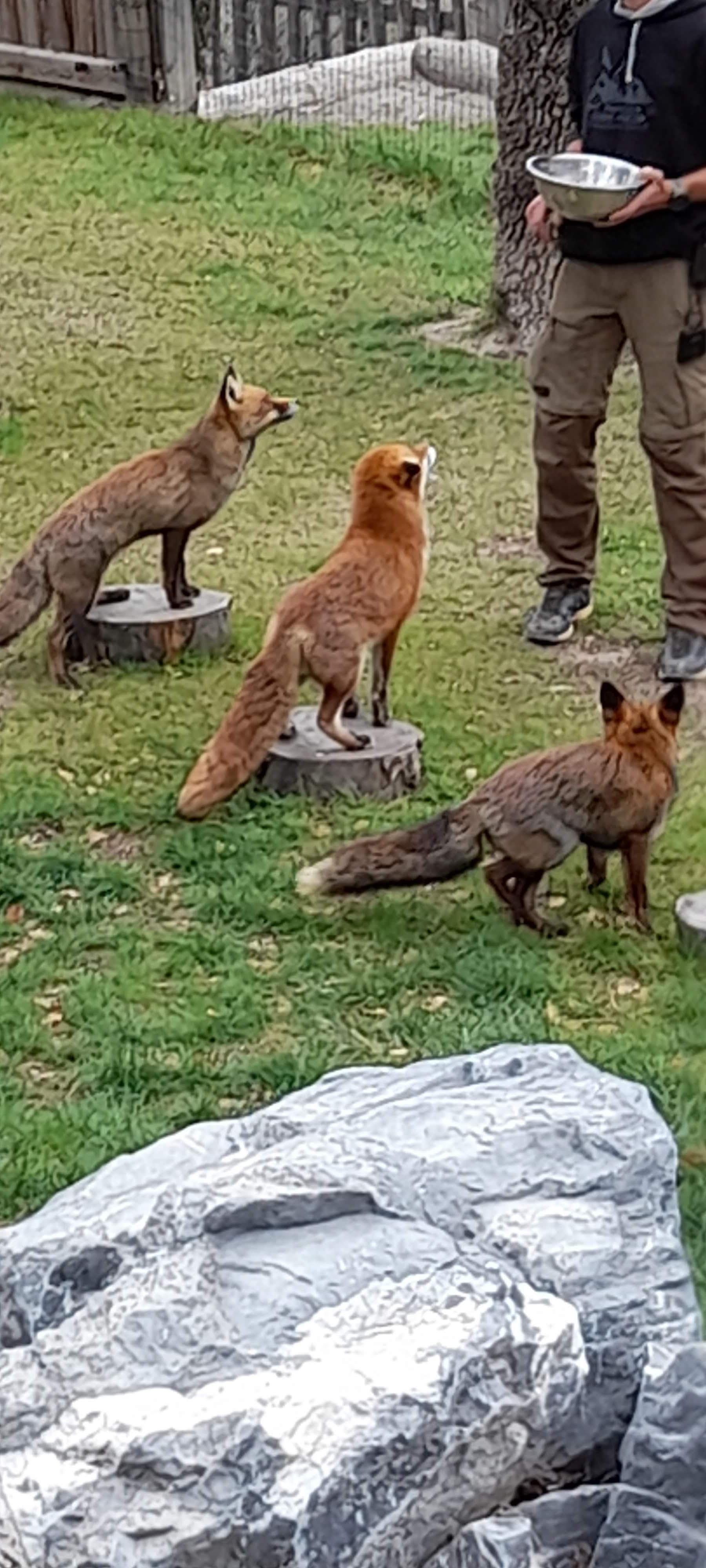 Photo n° 5 de l'avis de jennifer.a fait le 24/05/2023 à 11:46