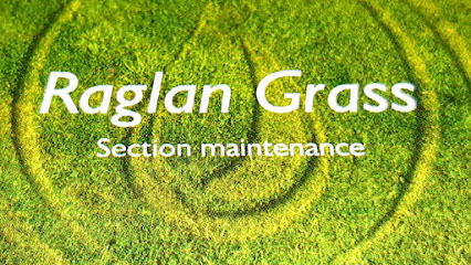 Raglan Grass