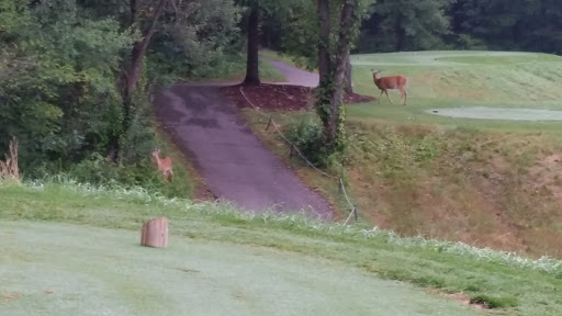 Golf Course «Moose Ridge Golf Course & Grille», reviews and photos, 11801 Doane Rd, South Lyon, MI 48178, USA