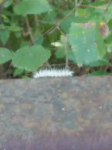 Park «James McKnight Park East», reviews and photos, 700 U.S. 287 Frontage Rd, Mansfield, TX 76063, USA