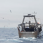 Photo n° 1 de l'avis de Trotirider. fait le 17/08/2023 à 18:52 pour Croisières / Promenades en Mer / Pêche / Soirées - Port La Nouvelle à Port-la-Nouvelle