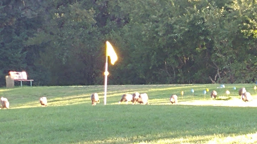 Golf Course «Adams Springs Golf Course», reviews and photos, 14347 Snead Ct, Cobb, CA 95426, USA