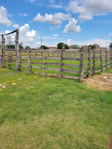 Museum «Museum of Texas Tech University», reviews and photos, 3301 4th St, Lubbock, TX 79415, USA