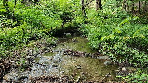 Cottonbrook Reservoir Trail