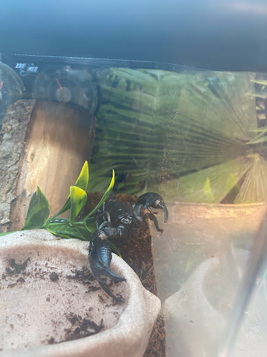 Pet Supply Store «PetSmart», reviews and photos, 128 Bailey Farm Rd, Monroe, NY 10950, USA