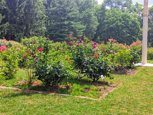 Park «Brookdale Park», reviews and photos, 473 Watchung Ave, Bloomfield, NJ 07003, USA