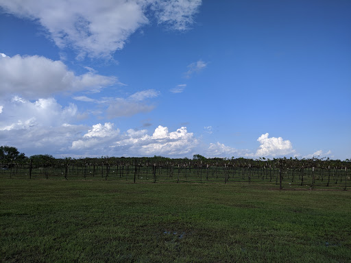 Winery «Texas SouthWind Vineyard & Winery, LLC», reviews and photos, 16375 US-183, Refugio, TX 78377, USA