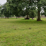 Photo n° 1 de l'avis de S.G.C. fait le 08/08/2019 à 13:47 pour La Ferme d'Eden à Saint-Vougay