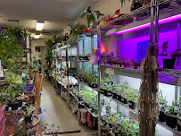 The Wicked Plant Shop - Photo 8 - Car repair in Kingsport, TN, Kingsport