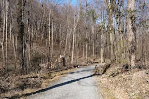 Silent Valley Nature Reserve image