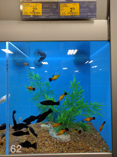 Pet Supply Store «PetSmart», reviews and photos, 10 Hazard Ave, Enfield, CT 06082, USA