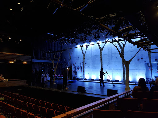 Performing Arts Theater «Arthur Miller Theatre», reviews and photos, 1226 Murfin Ave, Ann Arbor, MI 48109, USA