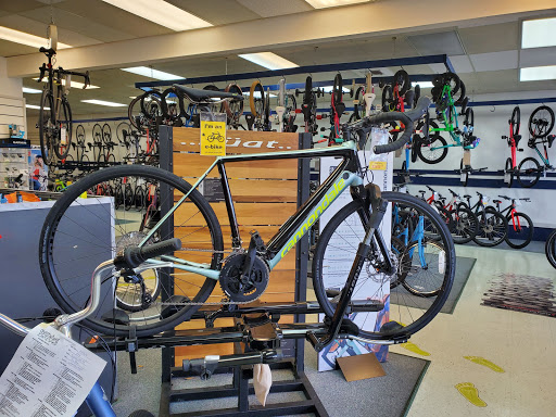 Bicycle Store «Chainwheel Drive», reviews and photos, 32796 US Hwy 19 N, Palm Harbor, FL 34684, USA