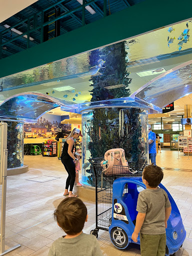 Sporting Goods Store «SCHEELS», reviews and photos, 6503 W 135th St, Overland Park, KS 66223, USA