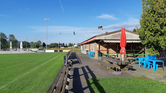 Sportplatz Neufeld - Delsberg