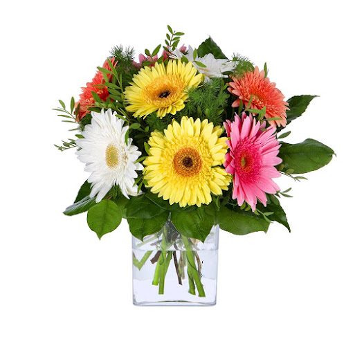 Comentários e avaliações sobre o Homeflora - Encomendar Flores Online | Entrega de Flores ao Domicílio