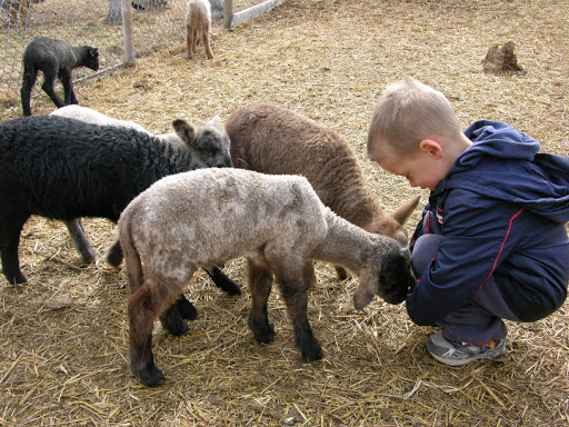 Butterfield Acres Petting Farm