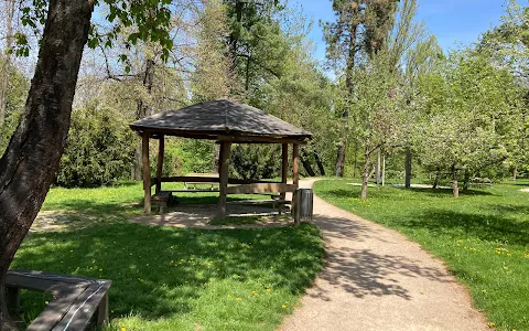 Pitkovický park image