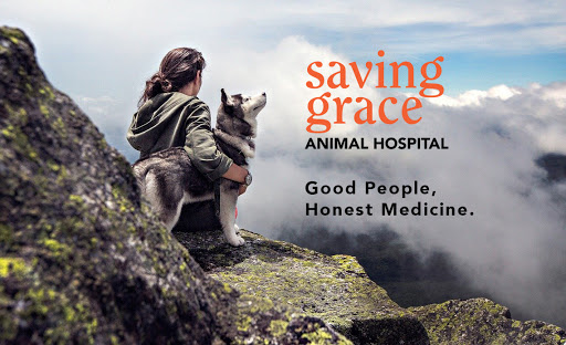 Saving Grace Animal Hospital - Veterinarian in Canton