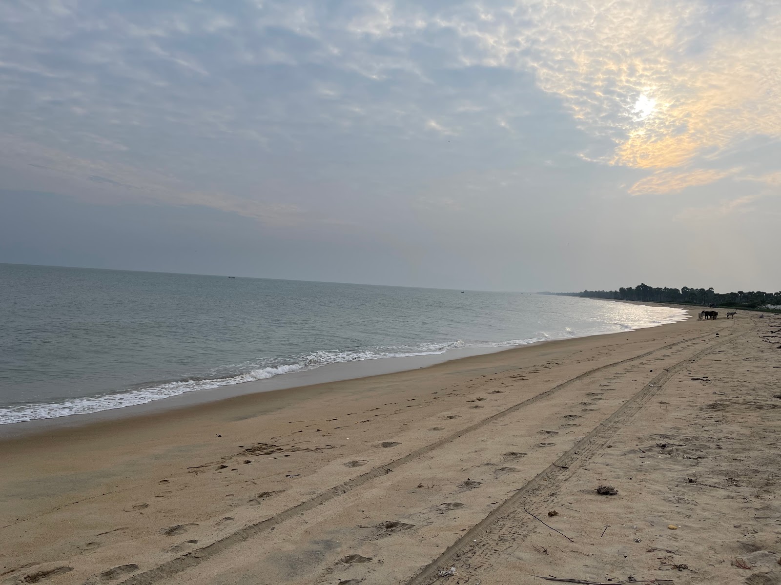 Foto af Narippaiyur Beach - populært sted blandt afslapningskendere