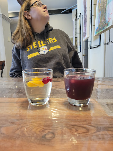 Winery «Big Creek Vineyard», reviews and photos, 41 Susquehanna St, Jim Thorpe, PA 18229, USA