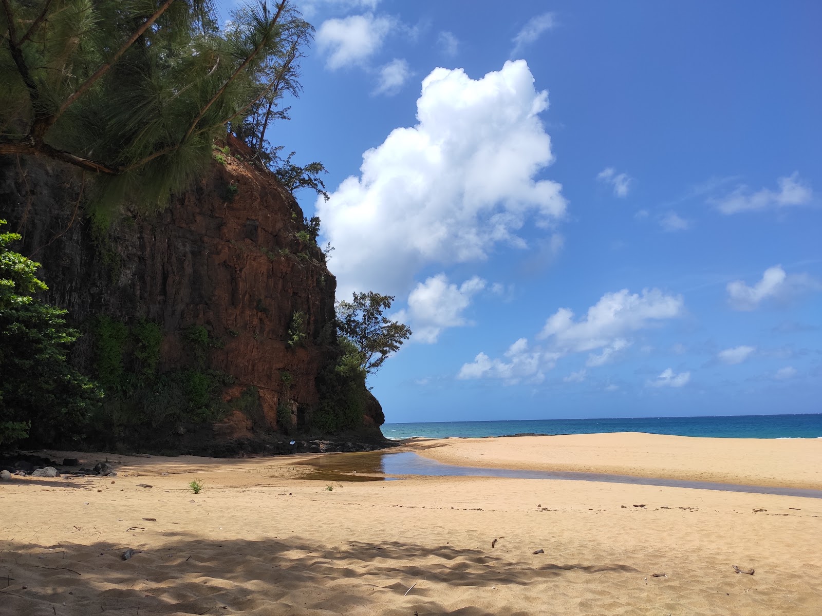 Foto van Kauapea Beach gelegen in een natuurlijk gebied