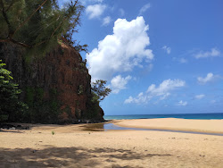 Kauapea Beach'in fotoğrafı ve güzel manzarası