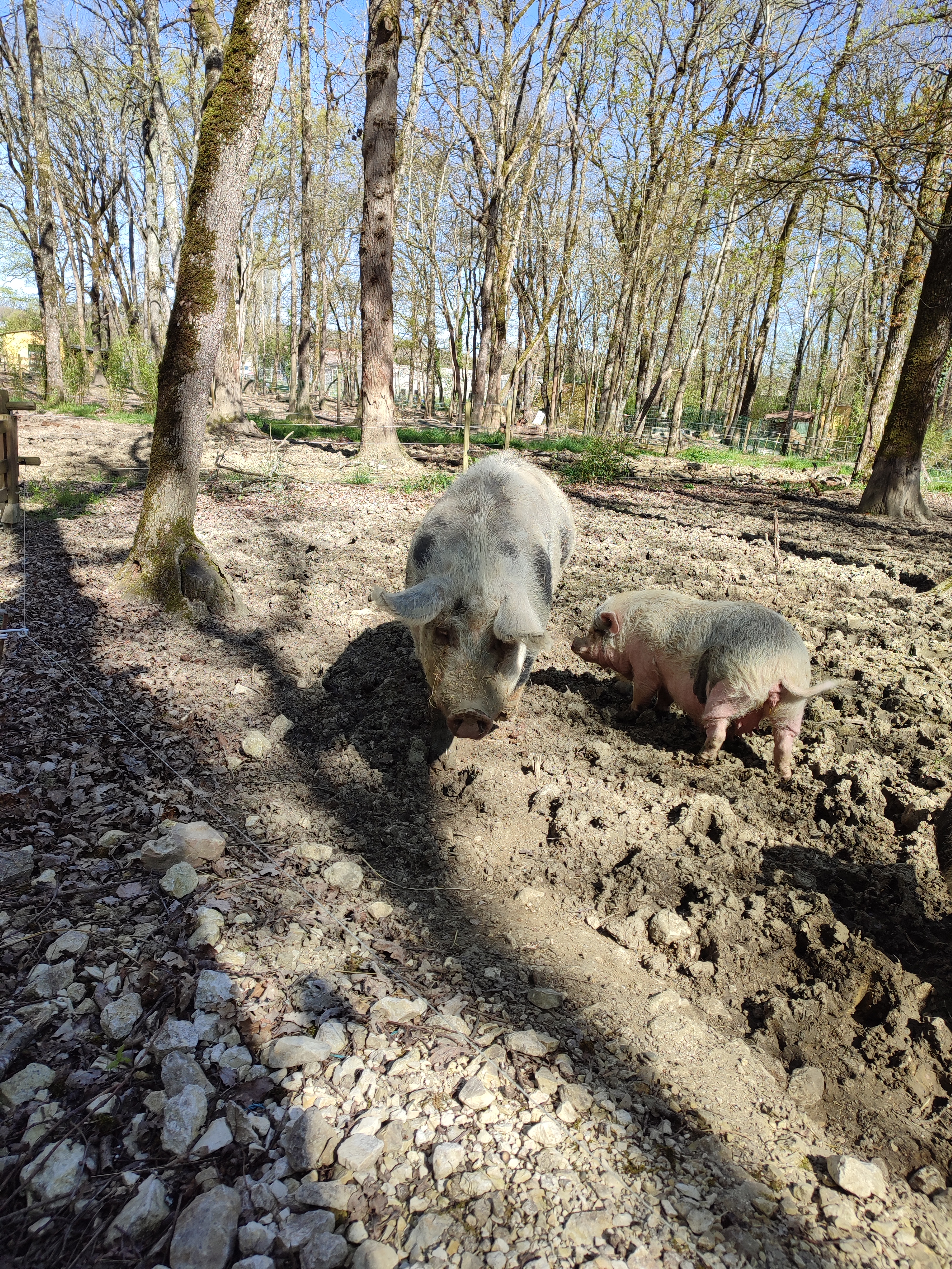 Photo n° 3 de l'avis de Nellie.a fait le 29/04/2023 à 13:47