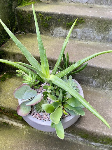 Florist «Fiori Floral Design», reviews and photos, 1126 N 84th St, Seattle, WA 98103, USA