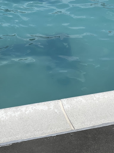 Water Park «Liberty Lagoon», reviews and photos, 111 Lobdell Ave, Baton Rouge, LA 70806, USA