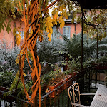 Photo n°3 de l'avis de Paola.r fait le 29/12/2022 à 17:44 sur le  Casa Borsari Suite à Verona