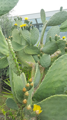 Photos des visiteurs hôtels Eden Hotel 19013 Deiva Marina