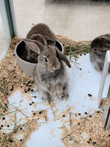 Pet Supply Store «Farmside Supplies Inc», reviews and photos, 15 Loomis Ave, Sussex, NJ 07461, USA