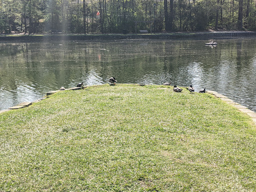 Park «Roswell Area Park», reviews and photos, 10495 Woodstock Rd, Roswell, GA 30075, USA