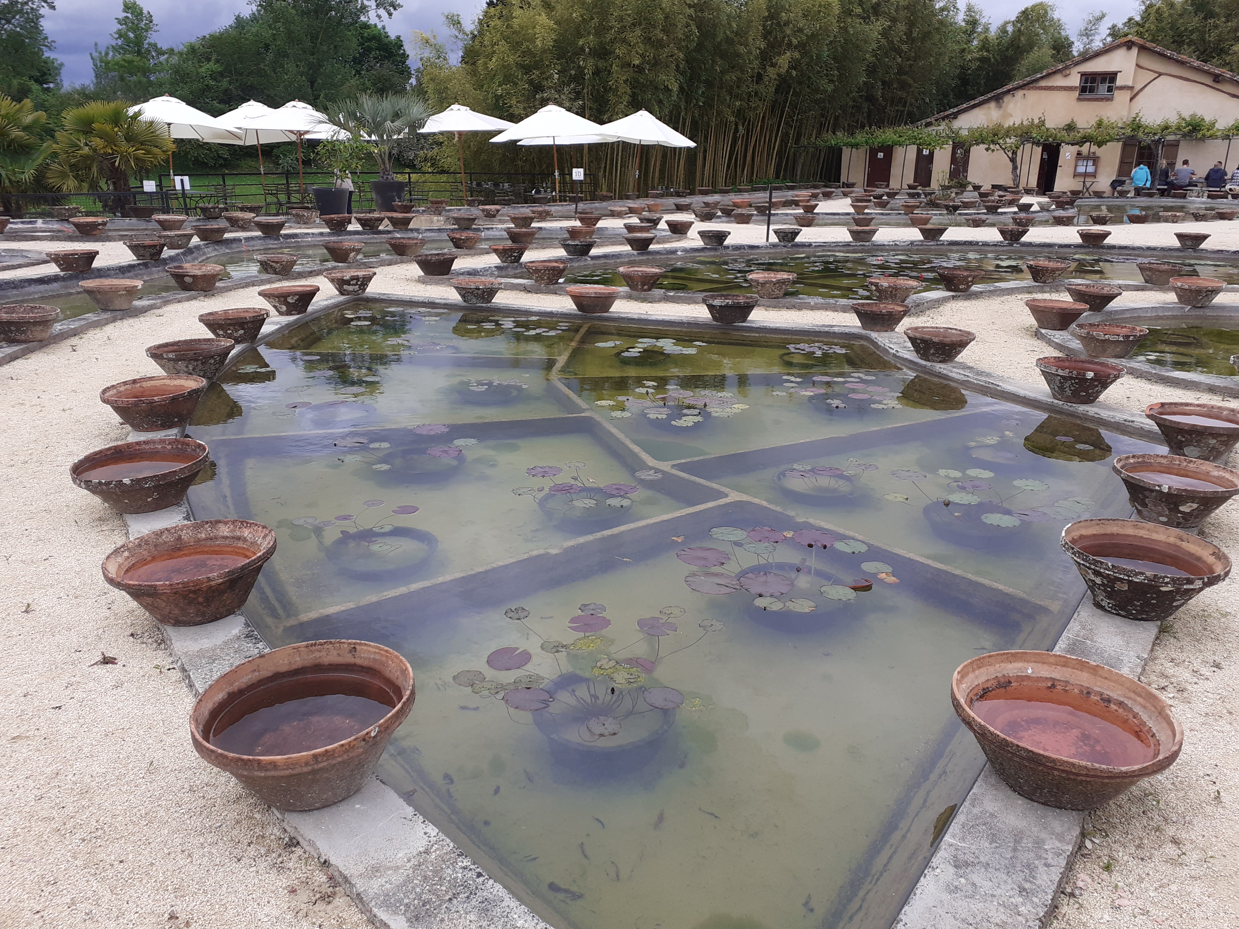 Photo n° 31 de l'avis de Kirenia.e fait le 22/05/2021 à 17:27