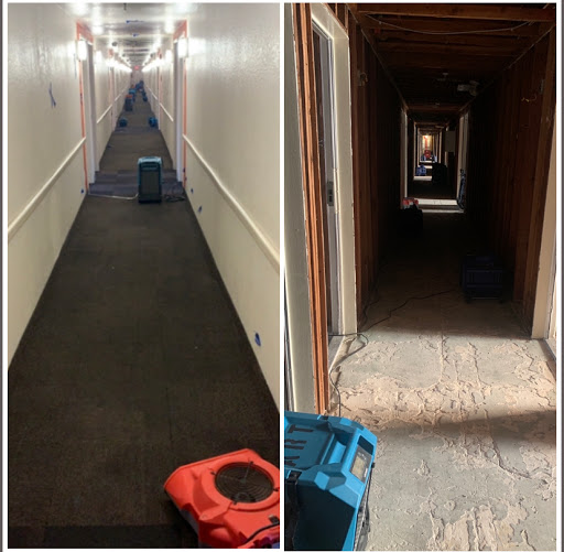 Water Damage Restoration Service «American Response Team», reviews and photos