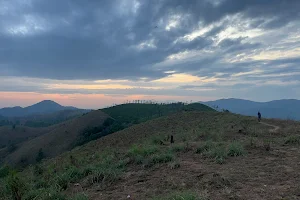 Hill Top, Nadugani ഗൂഡല്ലൂർ image