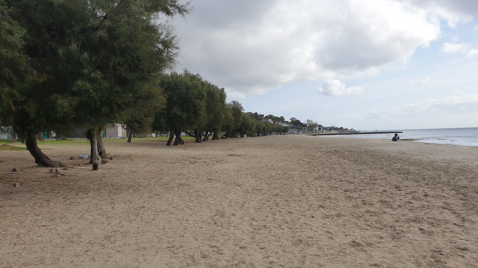 Foto av Tarihi haylayf beach bekvämlighetsområde