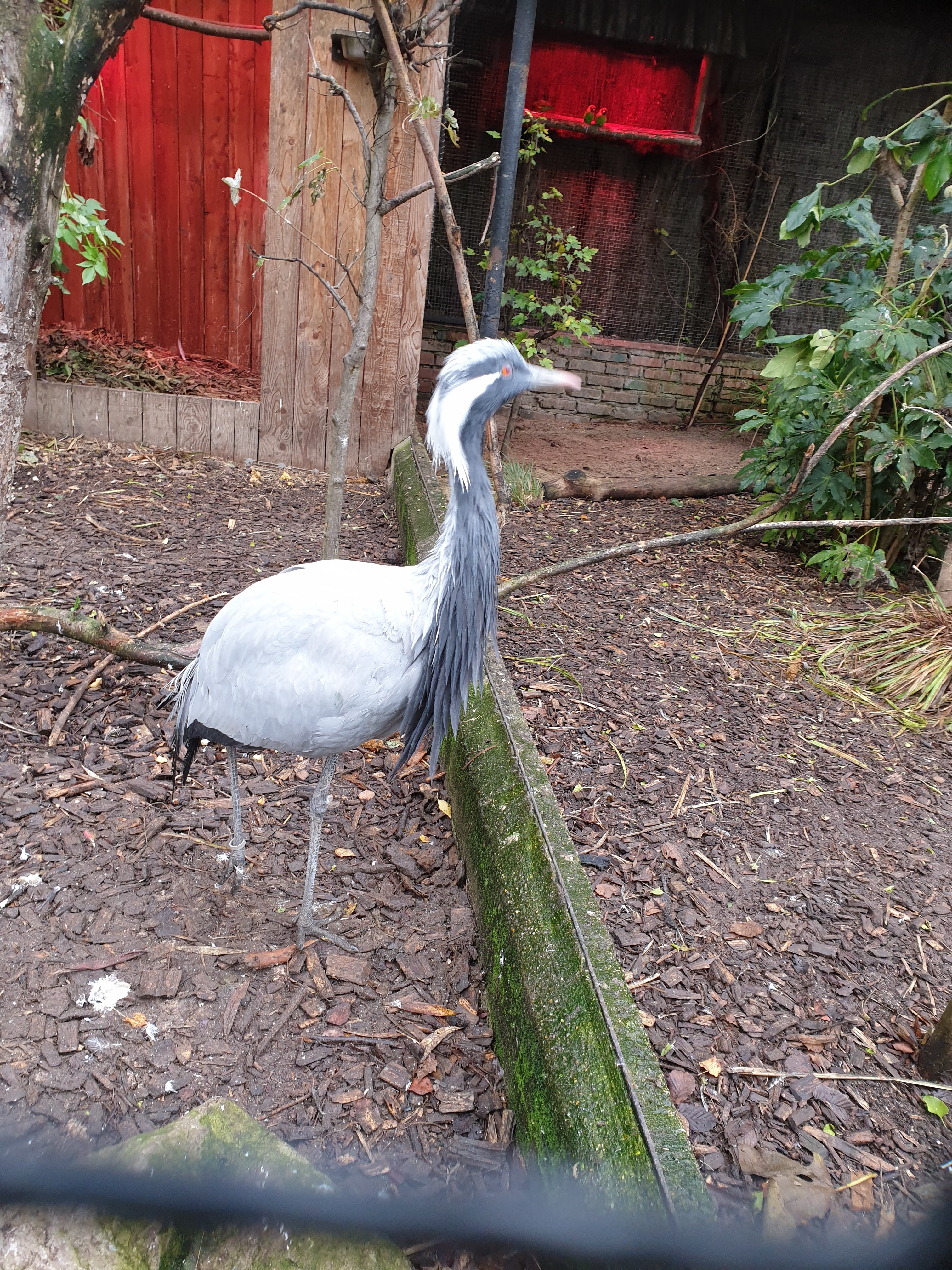 Photo n° 14 de l'avis de Jeremy.e fait le 11/07/2021 à 09:11