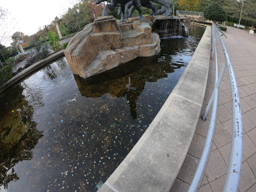 Natural History Museum «Fernbank Museum of Natural History», reviews and photos, 767 Clifton Rd, Atlanta, GA 30307, USA