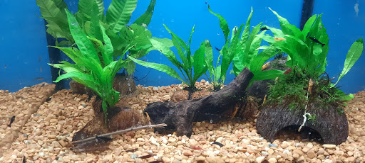 Pet Supply Store «Petco Animal Supplies», reviews and photos, 6181 Old Dobbin Ln #800, Columbia, MD 21045, USA