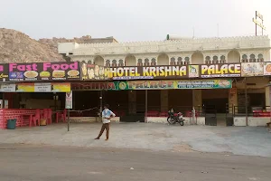 Krishna Palace image